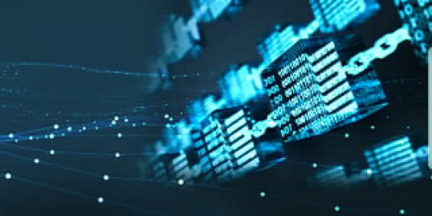 Blockchain and Internet of Things Conference